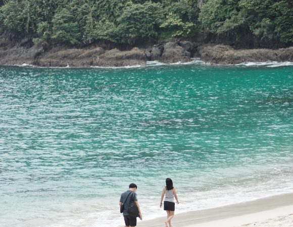 7 Aktivitas Wajib Coba di Teluk Hijau Banyuwangi yang Memukau