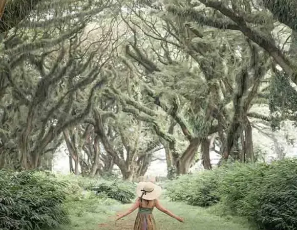 3 Destinasi Wisata Banyuwangi Terbaru 2025 yang Lagi Hits di Kalangan Traveler