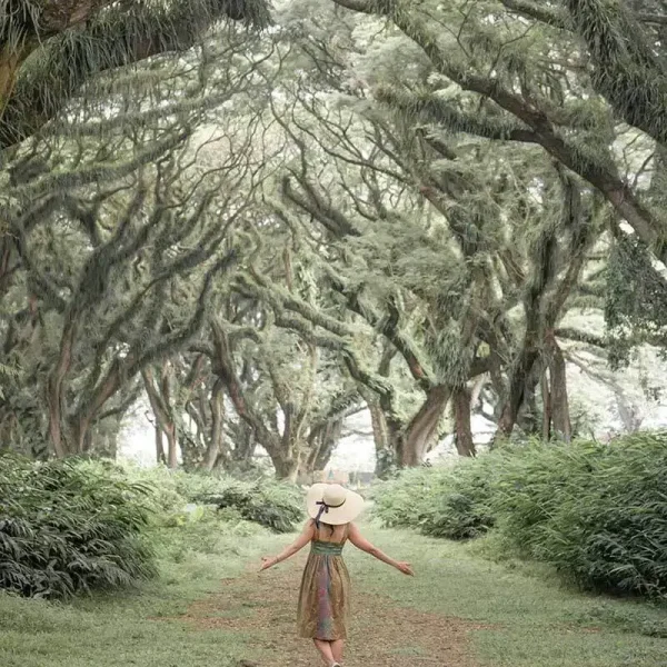 de djawatan banyuwangi