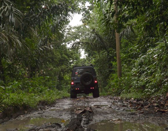 Pantai Sukamade: Sejarah, Daya Tarik, Lokasi dan HTM