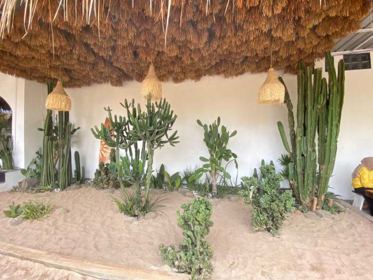 ornamen-pantai-yang-unik Cafe Tropis
