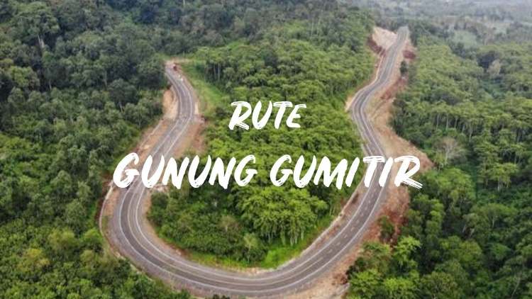 pepohonan-rimbun-yang-dikenal-angker-dan-buat-merinding