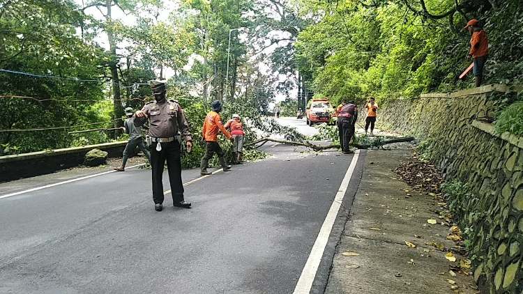 suara-tangisan-meminta-tolong