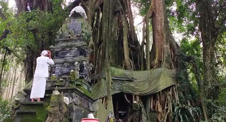 terdapat-peraturan-saling-menghormati-satu-sama-lain