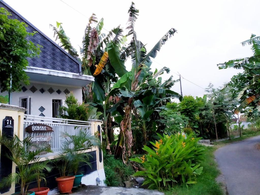 banana homestay