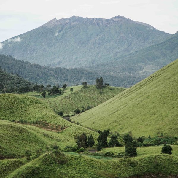 4 Hari 3 Malam Discover Banyuwangi (ii)