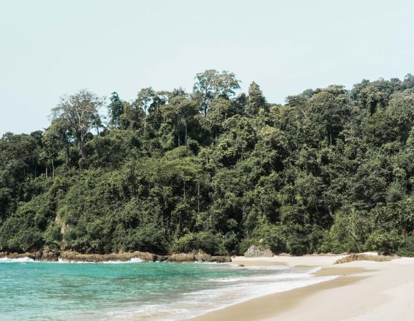 2 Hari 1 Malam Discover Banyuwangi (i)