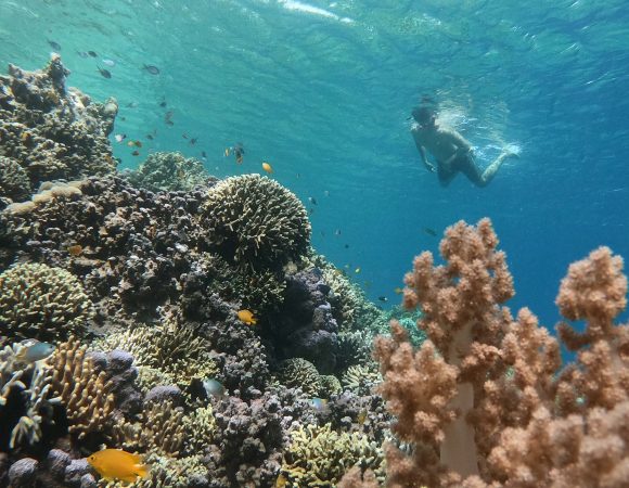 2 Hari 1 Malam Discover Banyuwangi (ii)