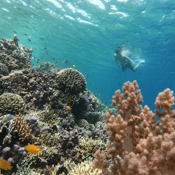 2 Hari 1 Malam Discover Banyuwangi (ii)