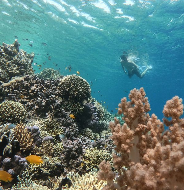 Snorkeling Bagi Pemula: Aman Walau Tak Bisa Berenang Lho!