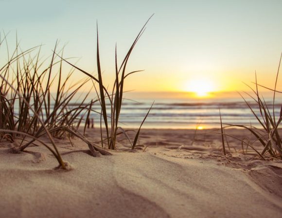 5 Daya Tarik Pantai Trianggulasi, Pesona Alami Banyuwangi!
