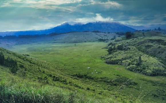 Kawah Wurung: Jam Operasional, Harga Tiket, dan Daya Tariknya