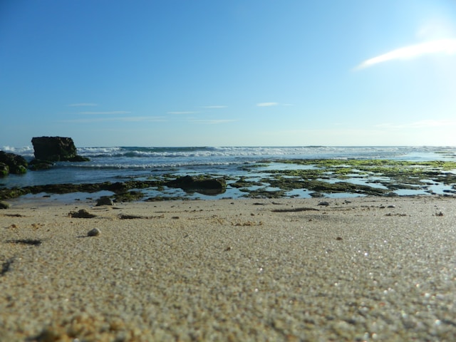 pantai-parang-ireng