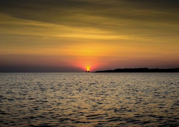 Pulau Menjangan Tutup Sementara: Alasan dan Jadwal Aktifnya