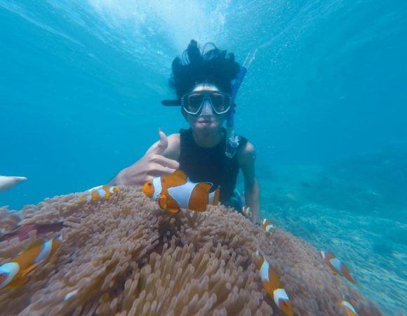6 Spot Snorkeling Banyuwangi, Nikmati Keindahan Bawah Laut!