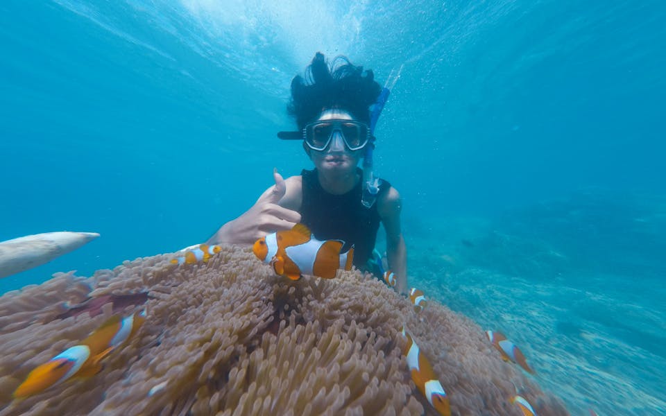 6 Spot Snorkeling Banyuwangi, Nikmati Keindahan Bawah Laut!