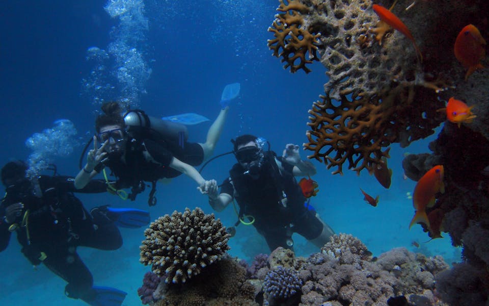 tempat-snorkeling-banyuwangi
