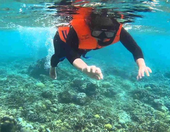 Bangsring Underwater: Lokasi, Jam Buka, HTM, & Daya Tariknya
