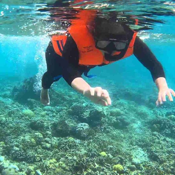 Bangsring Underwater: Lokasi, Jam Buka, HTM, & Daya Tariknya