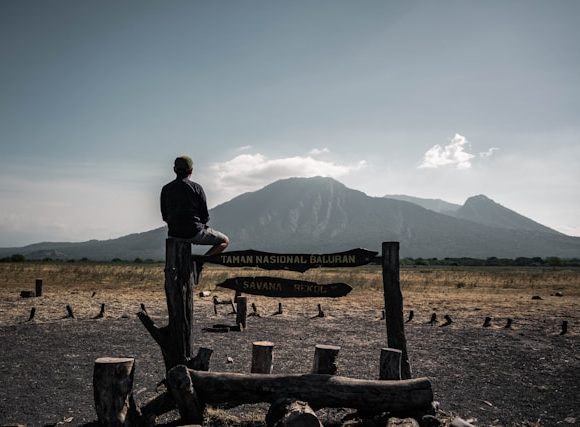 Baluran Banyuwangi Kembali Dibuka, Intip 4 Daya Tariknya!