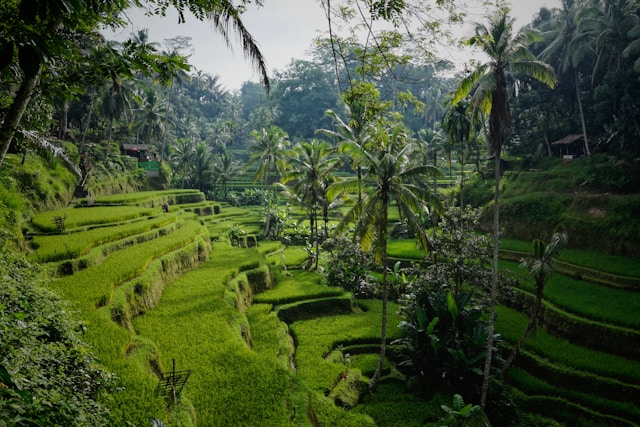 dari-banyuwangi-ke-bali-berapa-jam