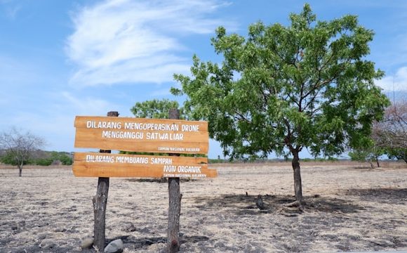 Aturan Kunjungan Baluran Banyuwangi di Bulan Puasa, Yuk Catat!