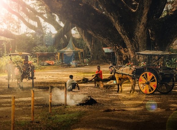 Rute Tercepat ke Jawatan Banyuwangi dan Harga Tiket Masuknya