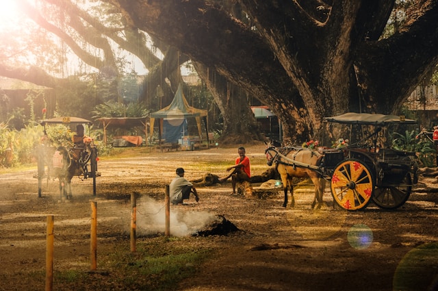 rute-tercepat-ke-jawatan-banyuwangi