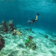 7 Tips Snorkeling di Bangsring Banyuwangi untuk Pemula, Catat!
