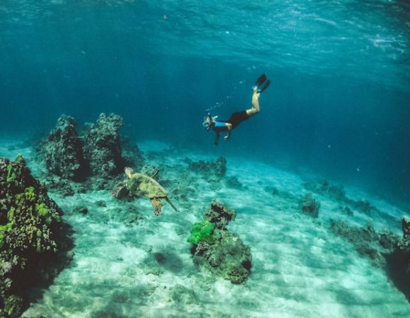 7 Tips Snorkeling di Bangsring Banyuwangi untuk Pemula, Catat!