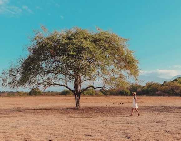 Wisata Baluran Tutup saat Lebaran 2025, Cari Tahu Alasannya!